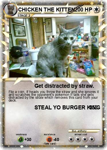 Pokemon CHICKEN THE KITTEN