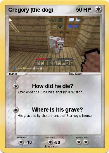 Pokemon Gregory (the dog)