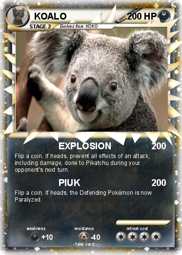 Pokemon KOALO
