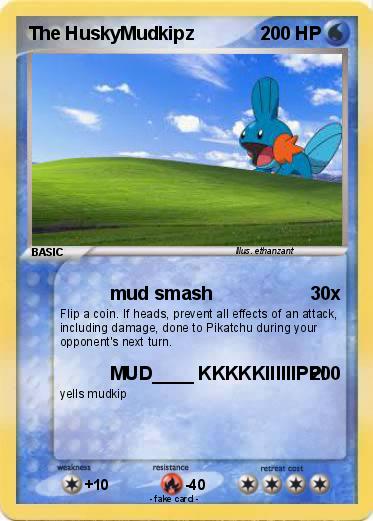 Pokemon The HuskyMudkipz