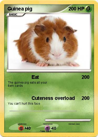Pokemon Guinea pig