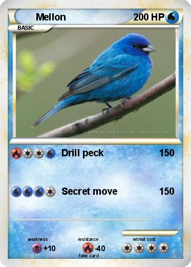 Pokemon Mellon