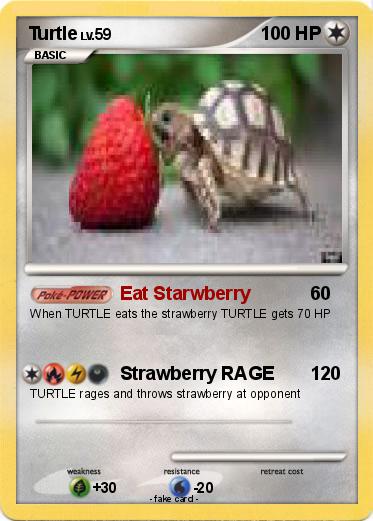 Pokemon Turtle
