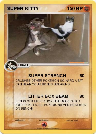 Pokemon SUPER KITTY
