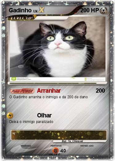 Pokemon Gadinho
