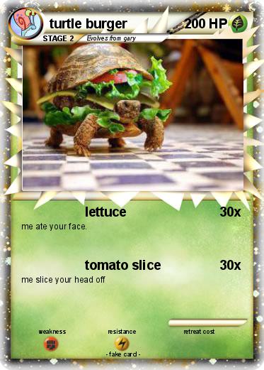 Pokemon turtle burger