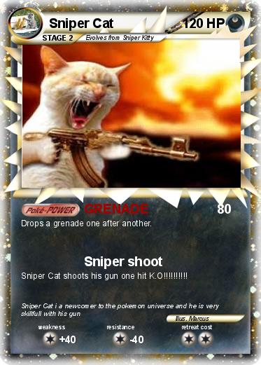Pokemon Sniper Cat