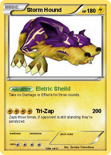 Pokemon Storm Hound