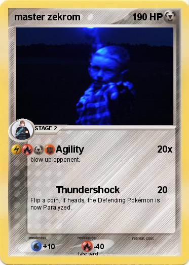 Pokemon master zekrom
