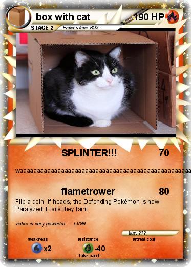 Pokemon box with cat