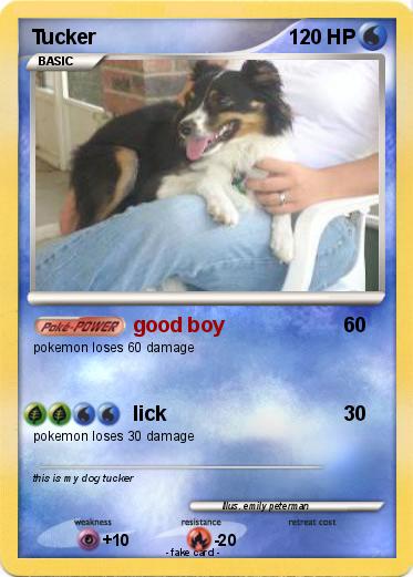 Pokemon Tucker
