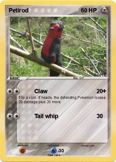 Pokemon Petirod