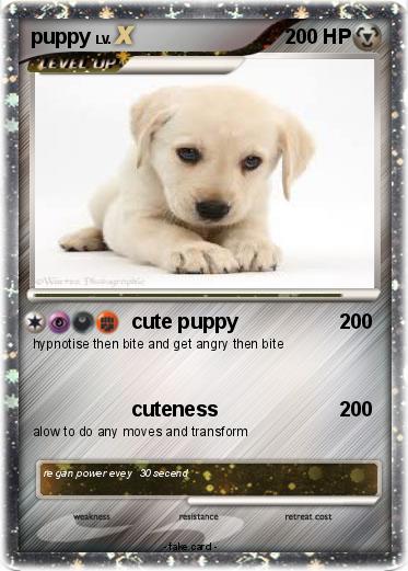 Pokemon puppy