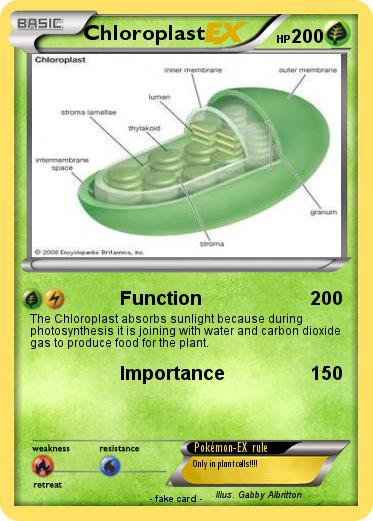 Pokemon Chloroplast