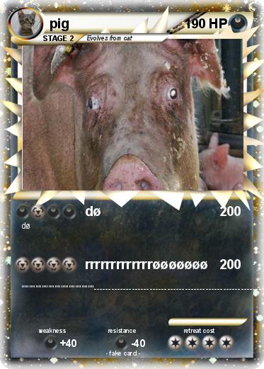 Pokemon pig