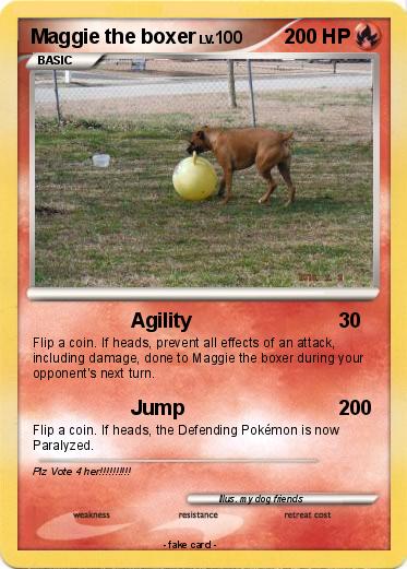 Pokemon Maggie the boxer