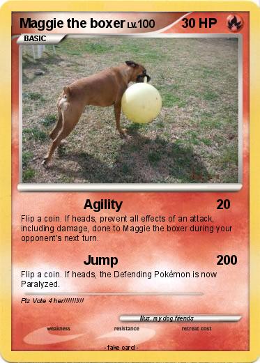 Pokemon Maggie the boxer