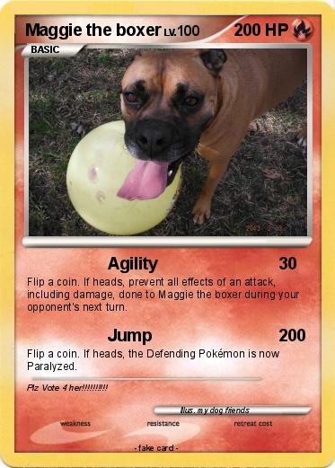 Pokemon Maggie the boxer