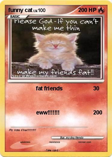 Pokemon funny cat