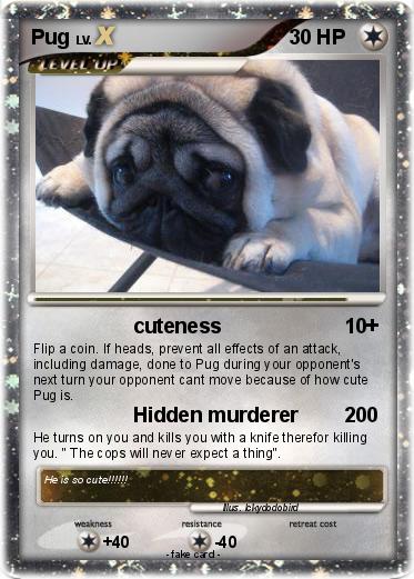 Pokemon Pug