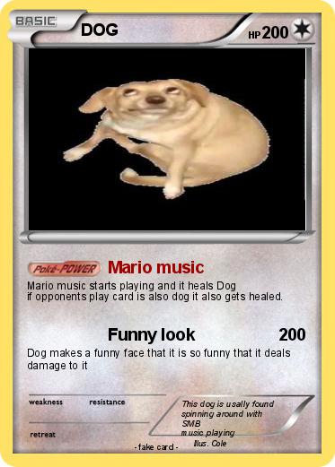 Pokemon DOG