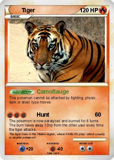 Pokemon Tiger