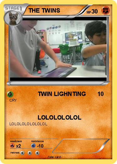 Pokemon THE TWINS