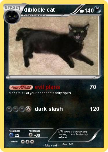 Pokemon diblocle cat