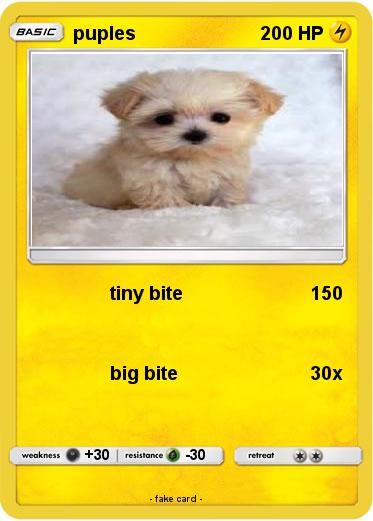 Pokemon puples