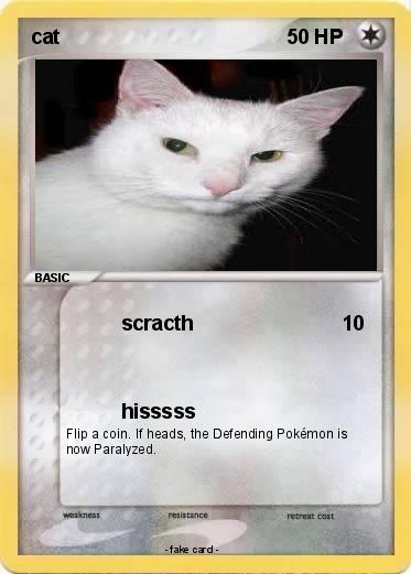 Pokemon cat
