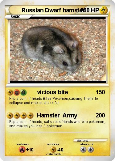 Pokemon Russian Dwarf hamster