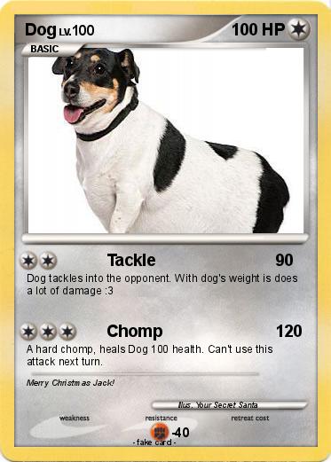 Pokemon Dog