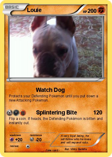 Pokemon Louie