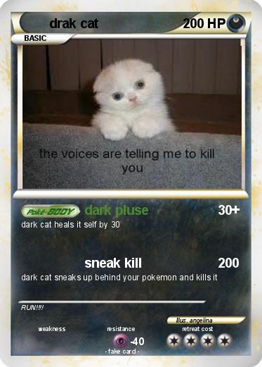 Pokemon drak cat