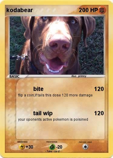 Pokemon kodabear
