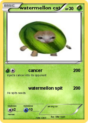 Pokemon watermellon cat