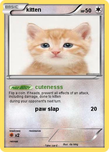 Pokemon kitten