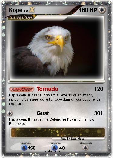 Pokemon Kope