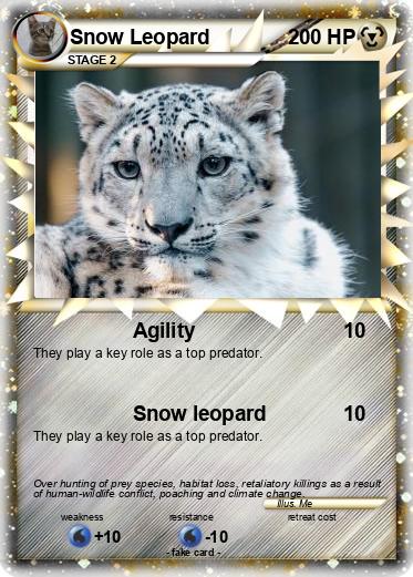 Pokemon Snow Leopard