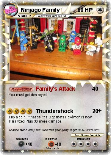 Pokemon Ninjago Family