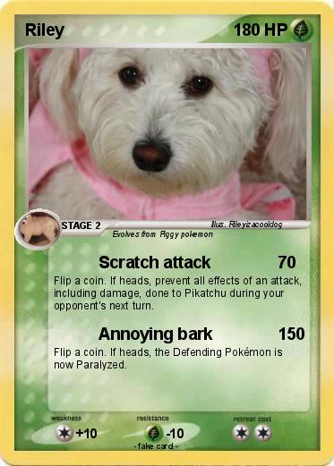Pokemon Riley