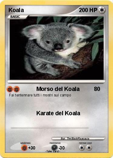 Pokemon Koala