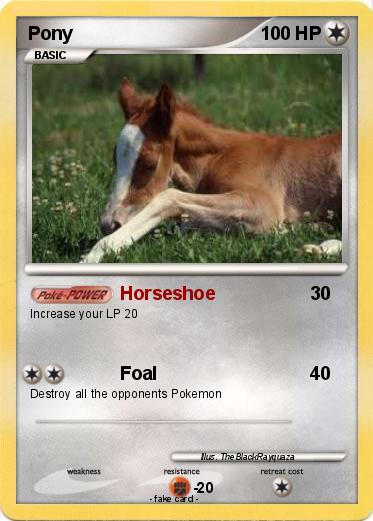 Pokemon Pony