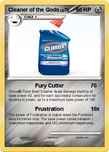Pokemon Cleaner of the Gods