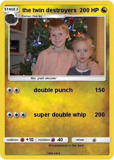 Pokemon the twin destroyers