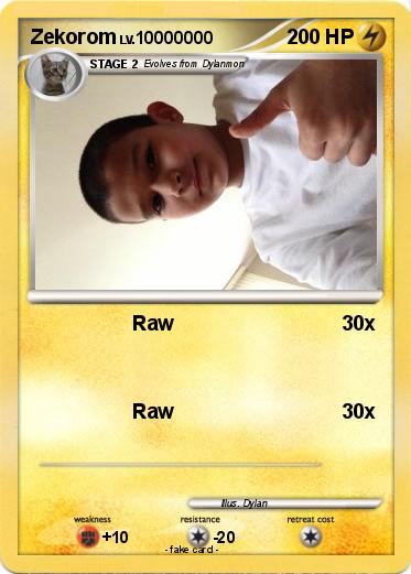 Pokemon Zekorom