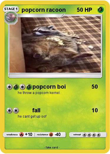 Pokemon popcorn racoon