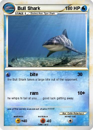 Pokemon Bull Shark