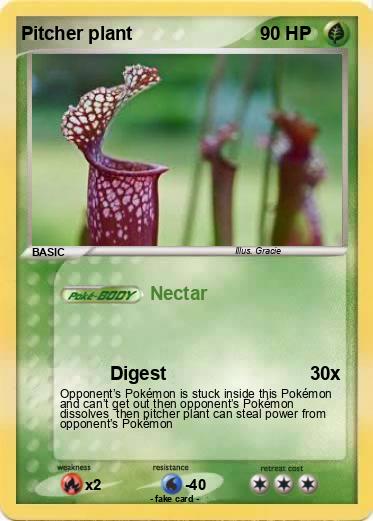 Pokemon Pitcher plant
