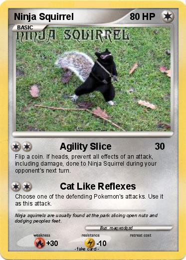 Pokemon Ninja Squirrel